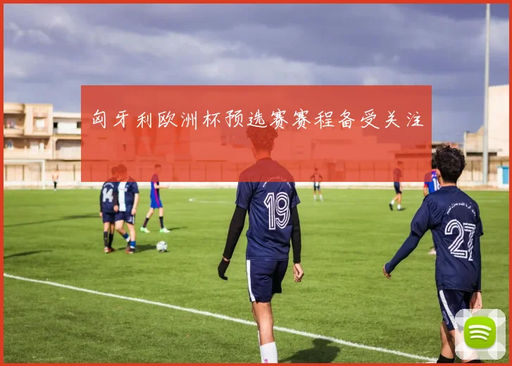 匈牙利欧洲杯预选赛赛程备受关注